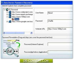 IE Passwords Unmask Software