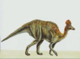 7art Dinosaurs Free ScreenSaver