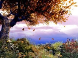 Autumn Tree [AD]