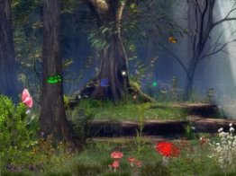 Butterfly Woods