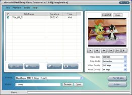 Nidesoft BlackBerry Video Converter