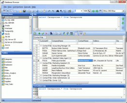 Database Browser Portable