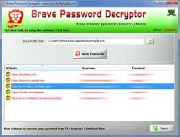 Brave Password Decryptor