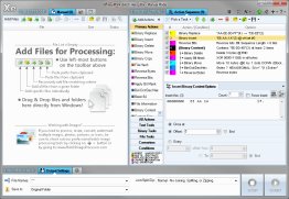 Batch Hex Editor Free