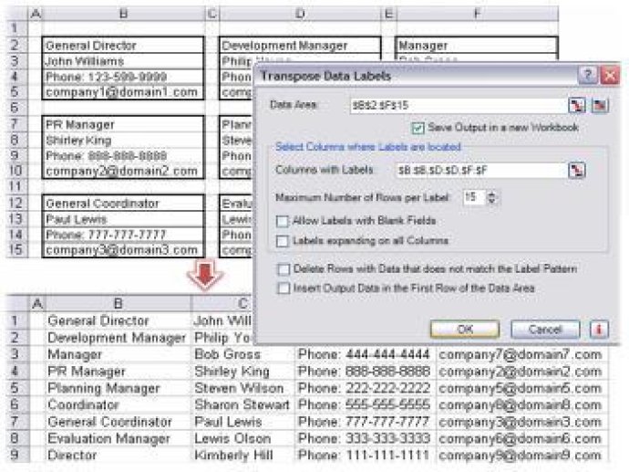 Report Inverter for Excel