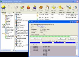 Internet Download Manager