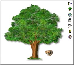 Touch Wood
