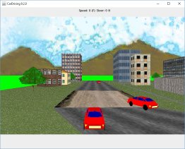 CarDriving