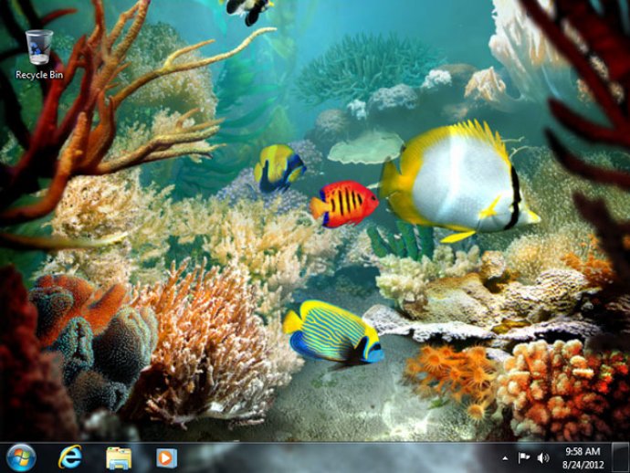 Tropical Fish 3D Screensaver