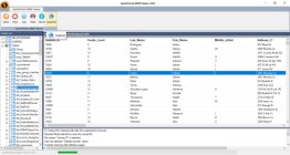 SysInfoTools MDB Viewer Software