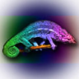 Camaleon Engine - Personal Edition