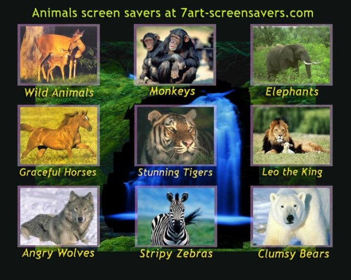 7art Animals ScreenSaver