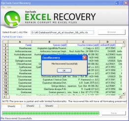 Microsoft Excel File Repair