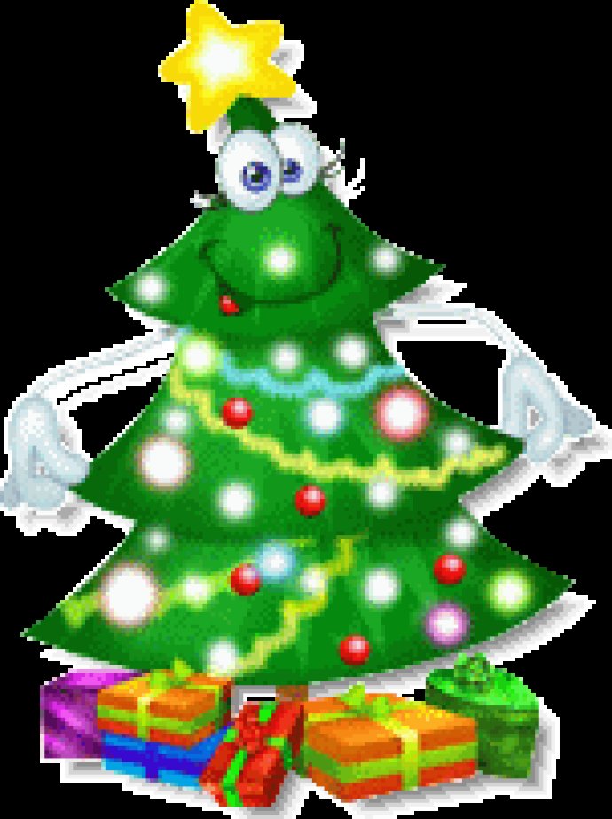 Live Christmas Tree