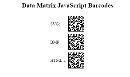 JavaScript Data Matrix Generator