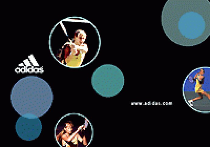 Adidas Anna Kournikova Screensaver Adidas Anna Kournikova Screensaver