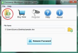 Cocosenor Workbook Unprotect Tuner