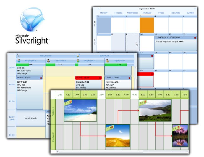 TMS Silverlight-WPF Planner