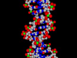 BioMolecula 3D ScreenSaver