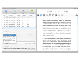 Lighten PDF Converter Master