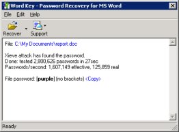 Word Password Recovery Key