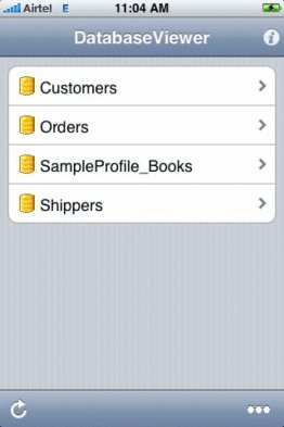 Database Viewer for iPhone