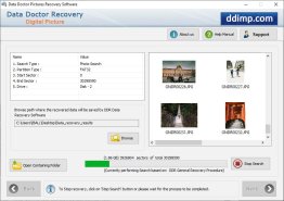 Pictures Recovery Software