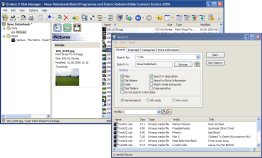 Broken X Disk Manager