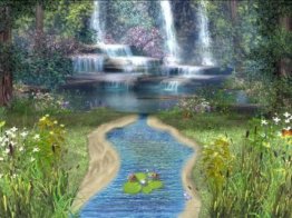 Spring Forest