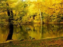 Autumn [AD]