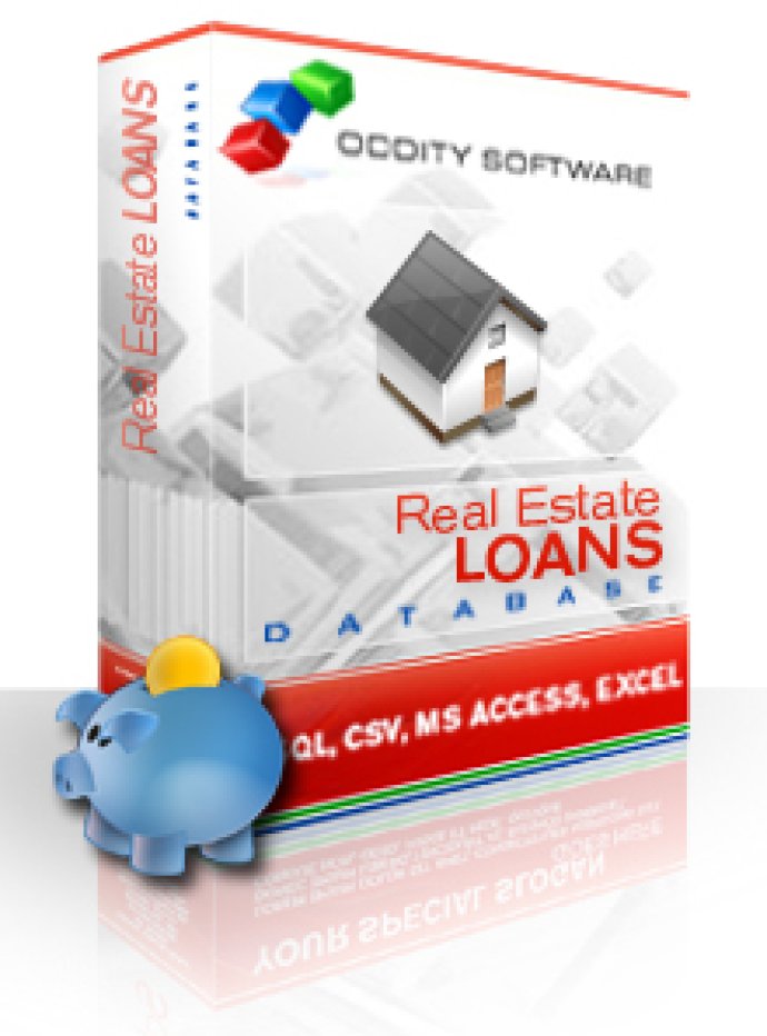 Real Estate Loans Database