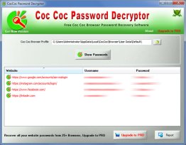 CocCoc Password Decryptor
