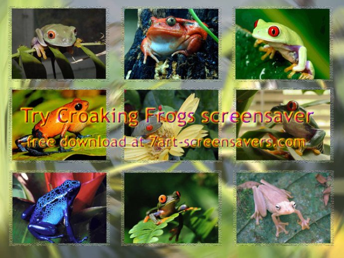 7art Toads and Frogs ScreenSaver