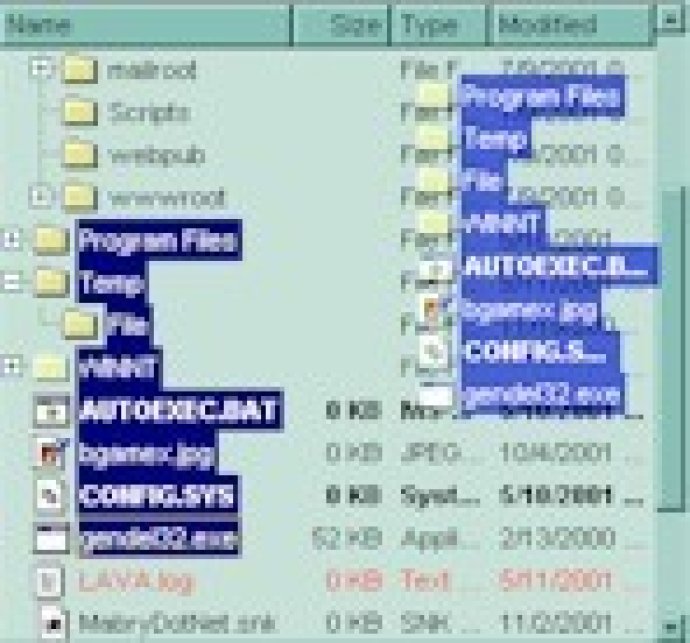 Explorer-like ActiveX Control - Site Wide License