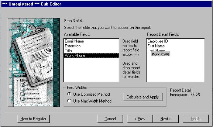 Cub Editor for MS Access