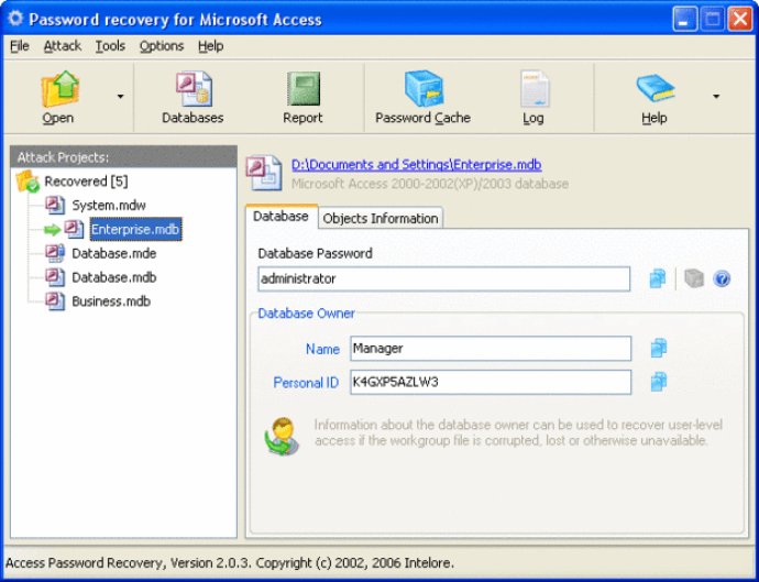 Access Password Recovery Pro
