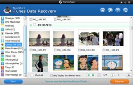 Tenorshare iTunes Data Recovery