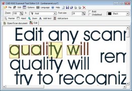 Scanned Text Editor