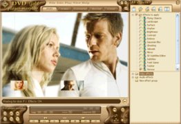 DVD Player Gold