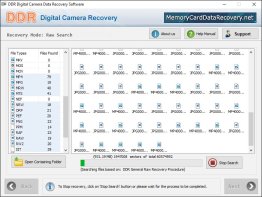 Digital Camera Data Recovery