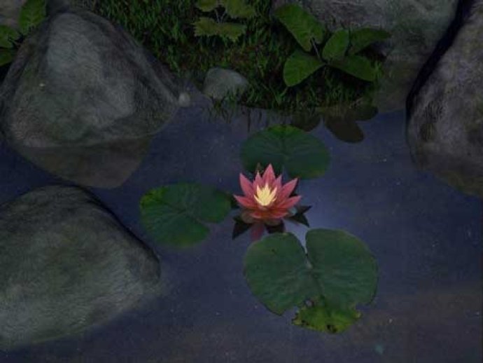 SS Water Lily - Animated 3D Screensaver