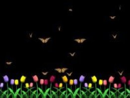 Butterfly Garden Screensaver