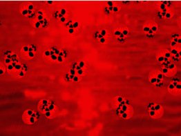 Blood Red Halloween Wallpaper