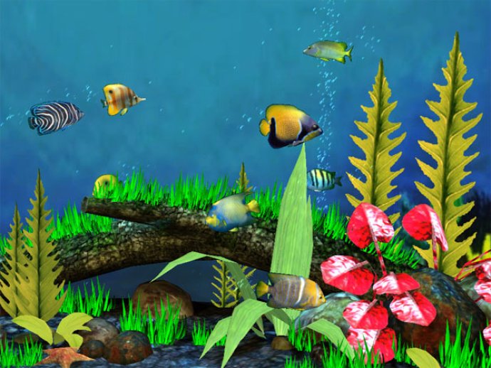 Fish Aquarium 3D Screensaver