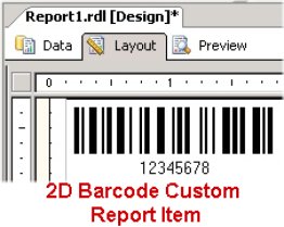 2D Barcode Custom Report Item
