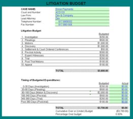 FastAnswer Litigation Budget