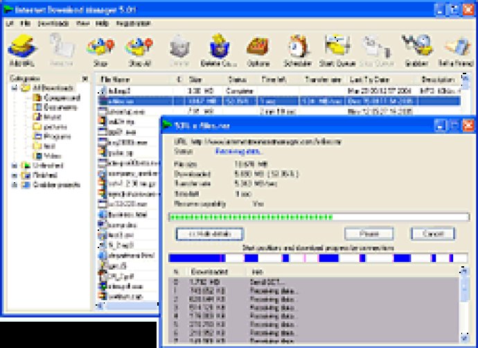 Internet Download Manager 2007