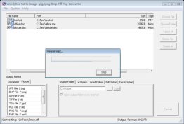 Word Txt to Image Jpg Bmp Tiff Converter