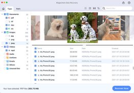 Magoshare Mac Data Recovery Enterprise